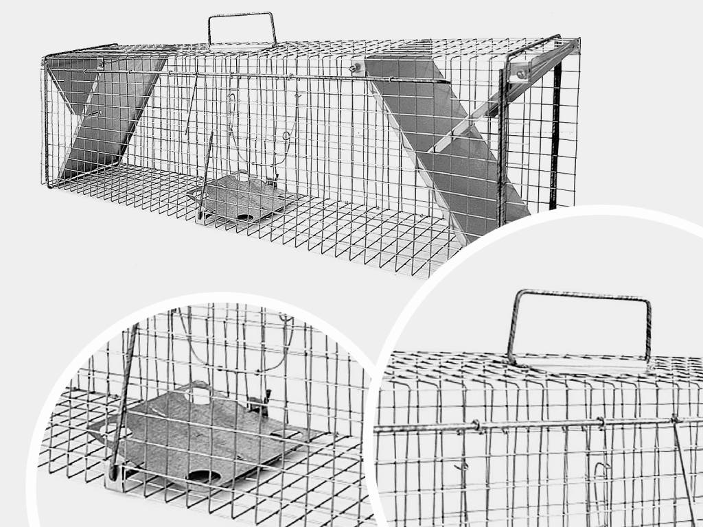 pułapka na kuny, klatka na kuny, żywołapka na kuny, łapka na kuny, pułapki na kuny, pułapka na kunę, pułapka żywołowna na kunę, łapica na kuny, klatki na kuny, kuna pułapka, wnyki na kuny, pułapki żywołowne na kuny, potrzask na kuny