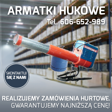 odstraszanie ptaków ze stoczni