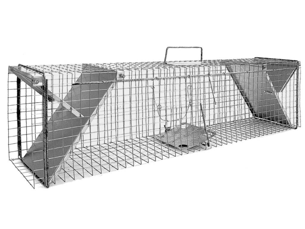 pułapka na kota, pułapka na koty, żywołapka na koty, żywołapka na kota